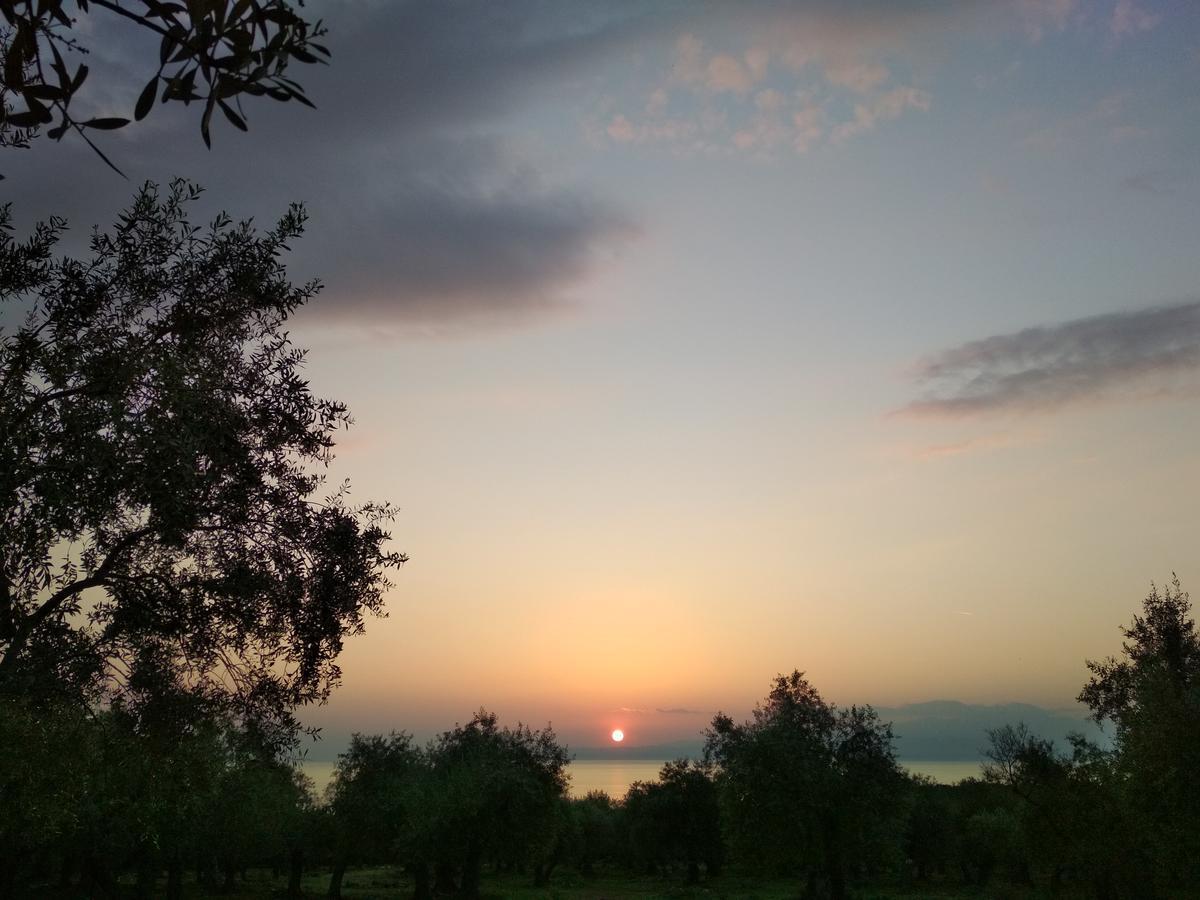 Villa Vrachos Skála Kallirákhis المظهر الخارجي الصورة
